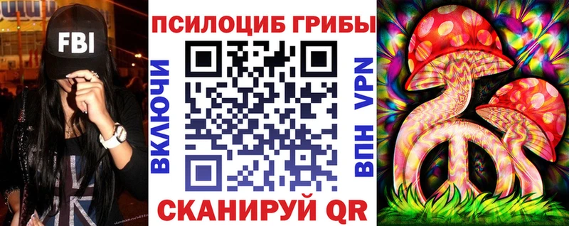 Купить закладки  Сегежа  Псилоцибиновые грибы Psilocybine cubensis 